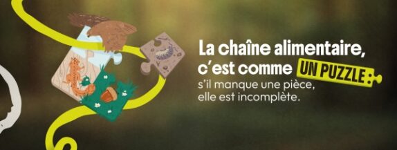 Comprendre la chaîne alimentaire, la clé du développement durable !